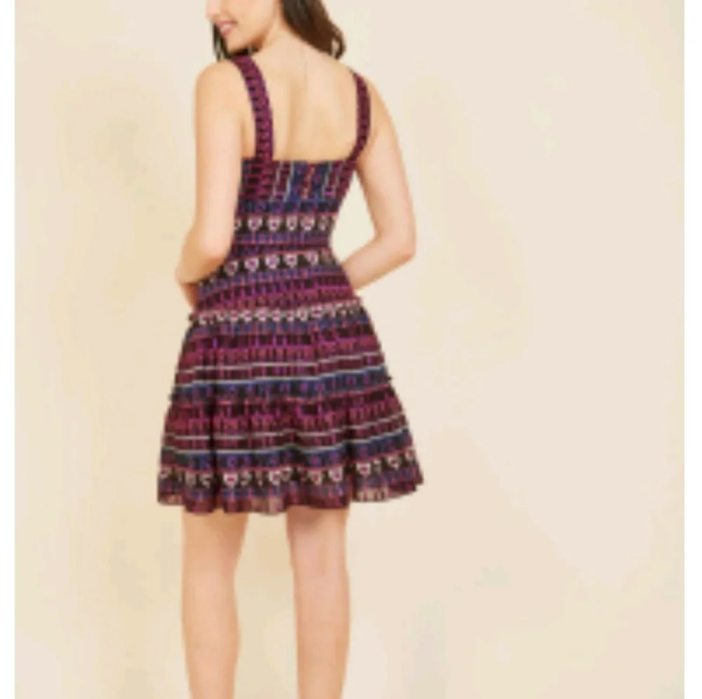 Anna Sui jubilant reunion a-line designer dress NWT SZ 6 - Picture 3 of 9